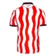 Levné Mužský Fotbalový Dres Stoke City Domácí 2025-26