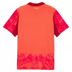 Levné Mužský Fotbalový Dres Palmeiras KidSuper Brankářské 2025-26