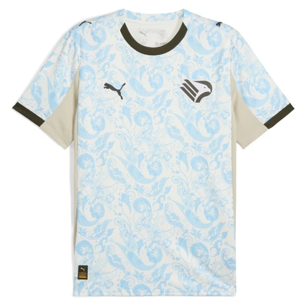 Levné Mužský Fotbalový Dres Palermo Alternativní 2025-26