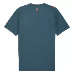 Levné Mužský Fotbalový Dres Shakhtar Donetsk Venkovní 2025-26