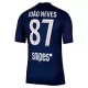 Levné Mužský Fotbalový Dres Paris Saint-Germain Joao Neves 87 Domácí 2025-26
