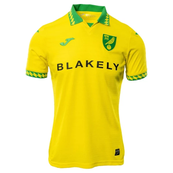 Levné Dětský Fotbalový Dres Norwich City Domácí 2025-26