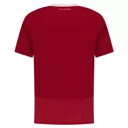 Levné Mužský Fotbalový Dres Al Ahly Domácí 2025-26