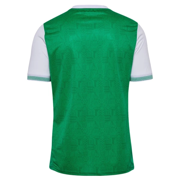 Levné Mužský Fotbalový Dres AS Saint-Etienne Domácí 2025-26