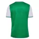 Levné Mužský Fotbalový Dres AS Saint-Etienne Domácí 2025-26