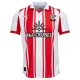 Levné Mužský Fotbalový Dres Southampton Domácí 2025-26 Levné Mužský Fotbalový Dres Southampton Domácí 2025-26
