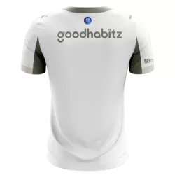 Levné Dětský Fotbalový Dres PSV Eindhoven Alternativní 2025-26