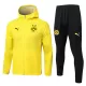 Levné Mužský Borussia Dortmund Tréninkový Bunda Kapucí Soupravy 2025-26 Žlutá