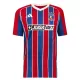 Levné Mužský Fotbalový Dres Colo-Colo Alternativní 2025-26