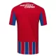 Levné Mužský Fotbalový Dres Colo-Colo Alternativní 2025-26