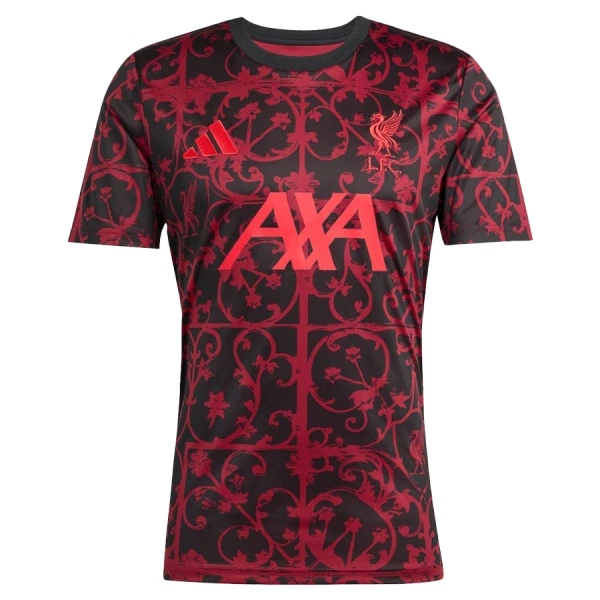 Levné Mužský Fotbalový Dres Liverpool Pre-Match 2025-26