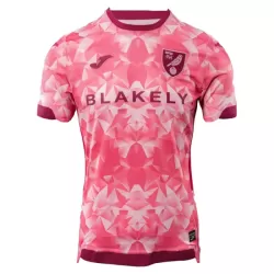 Levné Mužský Fotbalový Dres Norwich City Alternativní 2025-26 Levné Mužský Fotbalový Dres Norwich City Alternativní 2025-26