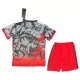 Levné Dětský Fotbalový Dres Japonsko x OnePiece 2025 - Speciální