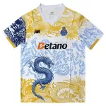 Levné Mužský Fotbalový Dres FC Porto Dragon 2025-26 - Speciální