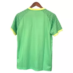 Levné Mužský Fotbalový Dres Japonsko x DragonBall 2025 - Speciální