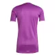 Levné Mužský Fotbalový Dres Aston Villa Purple Version Brankářské 2025-26