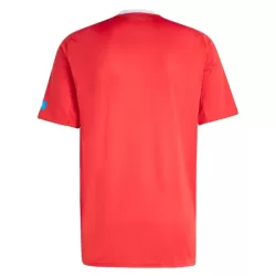 Levné Mužský Fotbalový Dres FC Nurnberg Alternativní 2025-26