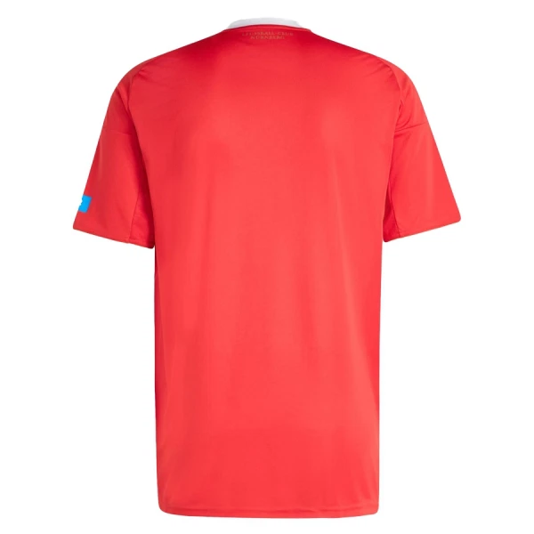 Levné Mužský Fotbalový Dres FC Nurnberg Alternativní 2025-26