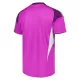 Levné Mužský Fotbalový Dres Leeds United Purple Version Brankářské 2025-26