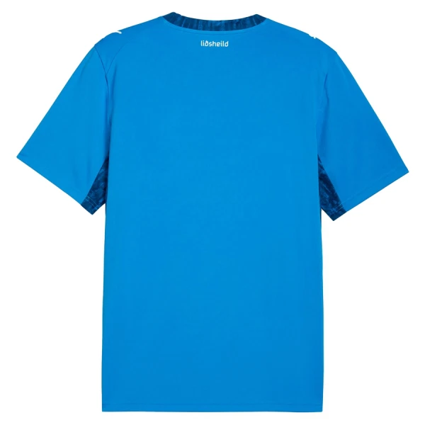 Levné Mužský Fotbalový Dres Island Domácí Mistrovství Světa 2026