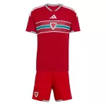 Levné Dětský Fotbalový Dres Wales Domácí Mistrovství Světa 2026