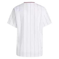 Levné Mužský Fotbalový Dres Aston Villa Terrace Icons 2025-26