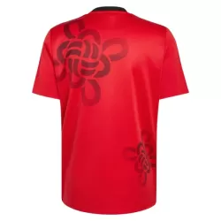 Levné Mužský Fotbalový Dres Manchester United Chinese Lucky Knot 2026 - Speciální