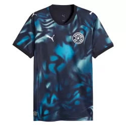 Levné Mužský Fotbalový Dres Paraguay Venkovní Mistrovství Světa 2026