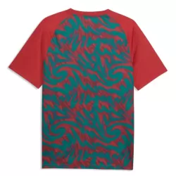 Levné Mužský Fotbalový Dres Portugalsko Pre-Match Mistrovství Světa 2026 Červená