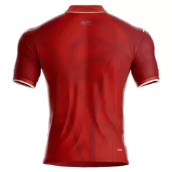 Levné Mužský Fotbalový Dres Haiti Alternativní Mistrovství Světa 2026