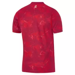 Levné Mužský Fotbalový Dres Polsko Venkovní 2026