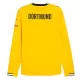 Levné Mužský Fotbalový Dres Borussia Dortmund Domácí 2026-27 Dlouhý Rukáv