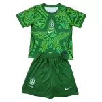 Levné Dětský Fotbalový Dres Brazílie Brankářské Domácí Mistrovství Světa 2026 Zelená
