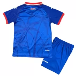 Levné Dětský Fotbalový Dres Haiti Domácí Mistrovství Světa 2026