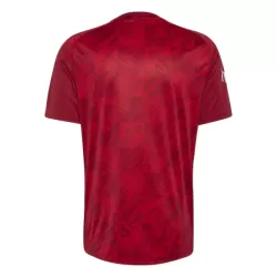 Levné Mužský Fotbalový Dres Liverpool Pre-Match 2026-27