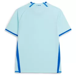 Levné Mužský Fotbalový Dres FC Porto Alternativní 2026-27