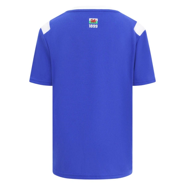 Levné Mužský Fotbalový Dres Cardiff City Domácí 2026-27