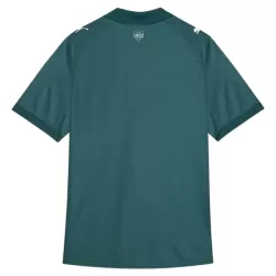 Levné Mužský Fotbalový Dres Fluminense FC Alternativní 2026-27