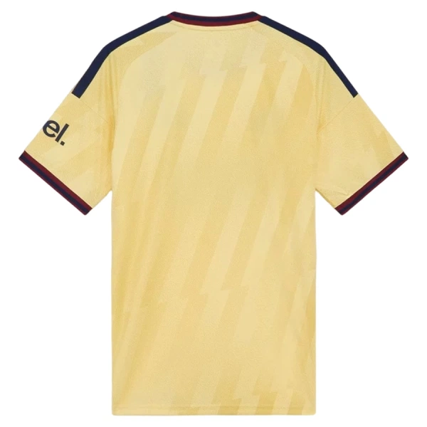 Levné Mužský Fotbalový Dres Arsenal Alternativní 2026-27