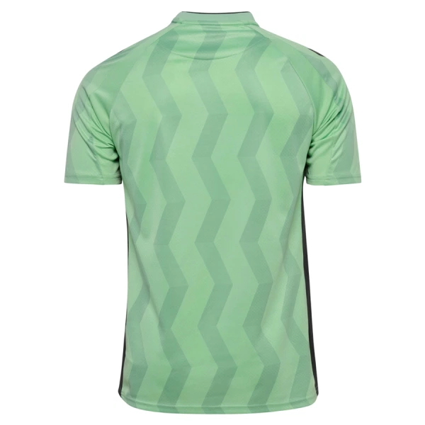 Levné Mužský Fotbalový Dres AS Saint-Etienne Alternativní 2026-27