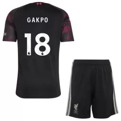 Levné Dětský Fotbalový Dres Liverpool Gakpo 18 Alternativní 2026-27